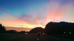 Autopista PR-22, Toa Baja, Puerto Rico (1).jpg