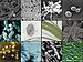 Archivo:Bacteria collage