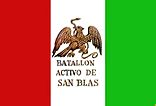 Archivo:Bandera batallon snblas