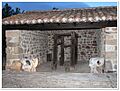Barcenilla 25