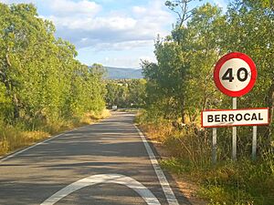 Berrocal.jpg