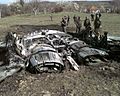 Bosnia mig29