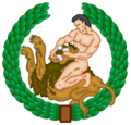 CNT Emblem