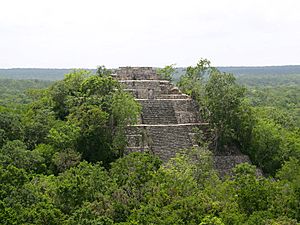 Archivo:Calakmul - Structure I
