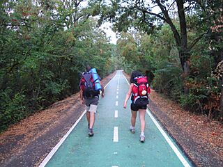 Camino Portugués de la Vía de la Plata (6096758643).jpg