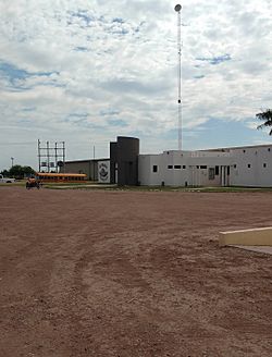 Campo Pablo Bórquez.jpg