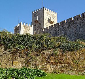 Archivo:Castelo do Sabugal - Portugal (277709455) (cropped)