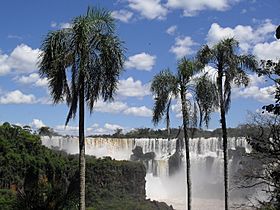Archivo:Cataratas Iguazu vista general