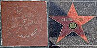 Archivo:Celine Dion both walk of fame stars
