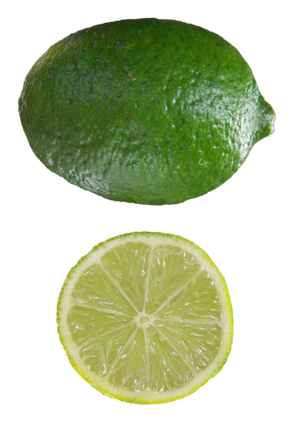 Citrus aurantifolia Mexican Lime