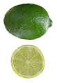 Citrus aurantifolia Mexican Lime