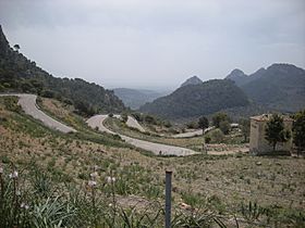 Coll de Sóller