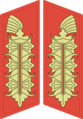 Collar tabs of Generalfeldmarschall of the Heer