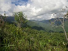 Archivo:Cordillera de la Costa a su paso por el Municipio Zamora, Estado Miranda