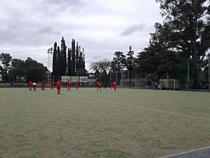 Archivo:Deporte - Hockey