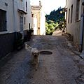 Detall d'un dels carrers de Les Ventalles.