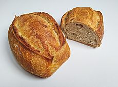 Archivo:Dos «chuscos» de dos panaderías diferentes (Forn Lacatarga y Turris, Barcelona)(1)