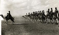 Archivo:Engelse kameelruiters - English camel troopers