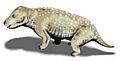 Exaeretodon BW