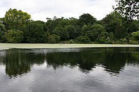 Hampstead Ponds (171329664)