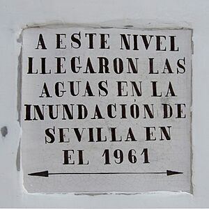 Archivo:Inundación 1961