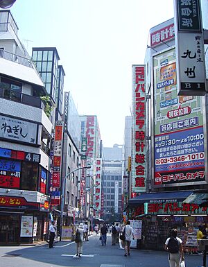 Archivo:Japan Tokyo Shinjuku billboards 11 014