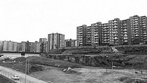 Archivo:Llefià anys 60-70