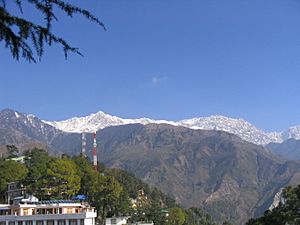 Archivo:Montaro Dhauladhar (foto de Dharamsala)