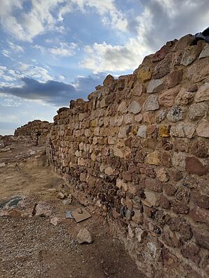 Archivo:Muro sureste de la fortificación del Yacimiento de Las Paleras. Alhama de Murcia