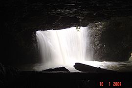 Natural Arch Waterfall at Numinbah - panoramio
