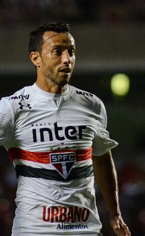 Archivo:NeneSPFC2018B (cropped)