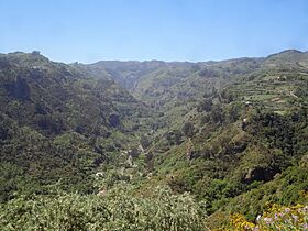 Parque Rural de Doramas - Valleseco.jpg