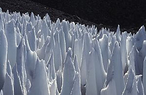 Archivo:Penitentes Upper Rio Blanco Argentine