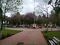Plaza de Alejandra centro