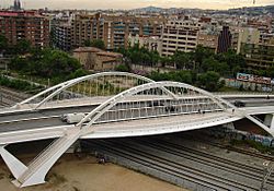 Archivo:Puente de Calatrava- Bach de Roda - panoramio