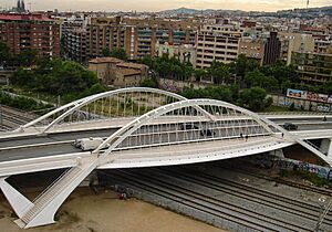 Archivo:Puente de Calatrava- Bach de Roda - panoramio