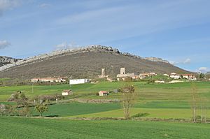 Archivo:Rebolledo de la Torre - 001 (40943701125)