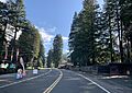 Redcrest, California