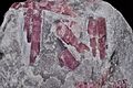 Rubellite sur gangue (Brésil)