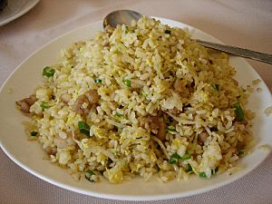 Archivo:SaltedFishFriedRice