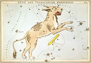 Archivo:Sidney Hall - Urania's Mirror - Lynx and Telescopium Herschilii