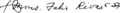 Signature of Bishop Fabio Rivas