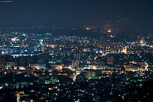 Archivo:Skopije at night