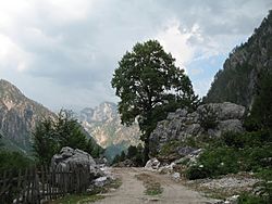 Valbona Valley, Albania (10).jpg