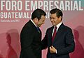 Visita de Estado a Guatemala (día 2) (9)