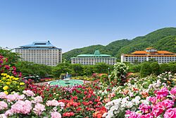 花巻温泉 バラ園とホテル3館.jpg