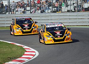 Archivo:2016 British Touring Car Championship, Brands Hatch GP (30065359780)