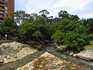 Archivo:2019 Envigado - Quebrada La Ayurá