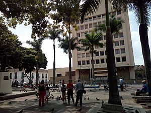 Archivo:Alcaldía Municipal de Palmira