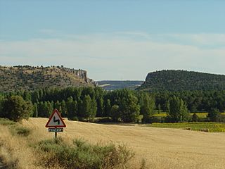 Andaluz-portillo.jpg